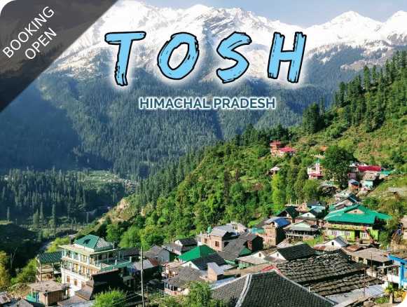 Kasol, Camping in Tosh + Kheerganga Trek