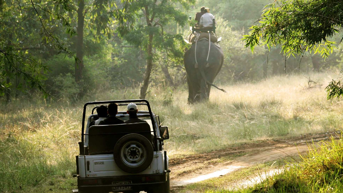 Corbett wildlife safari