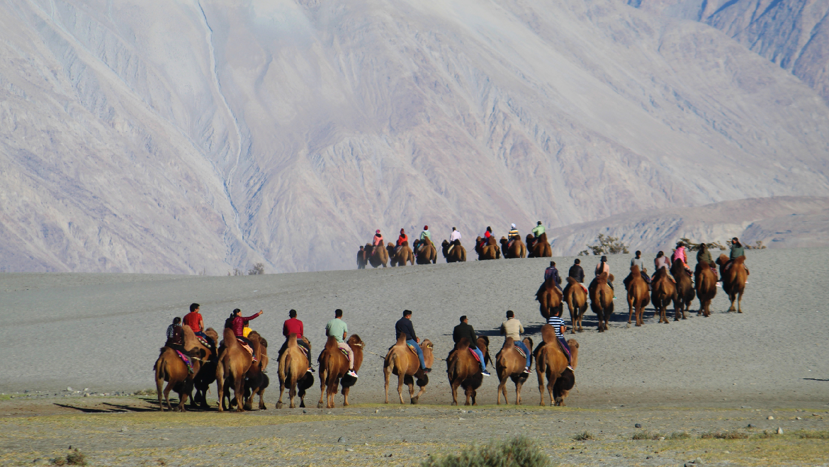 Engaging Leh Tour Package