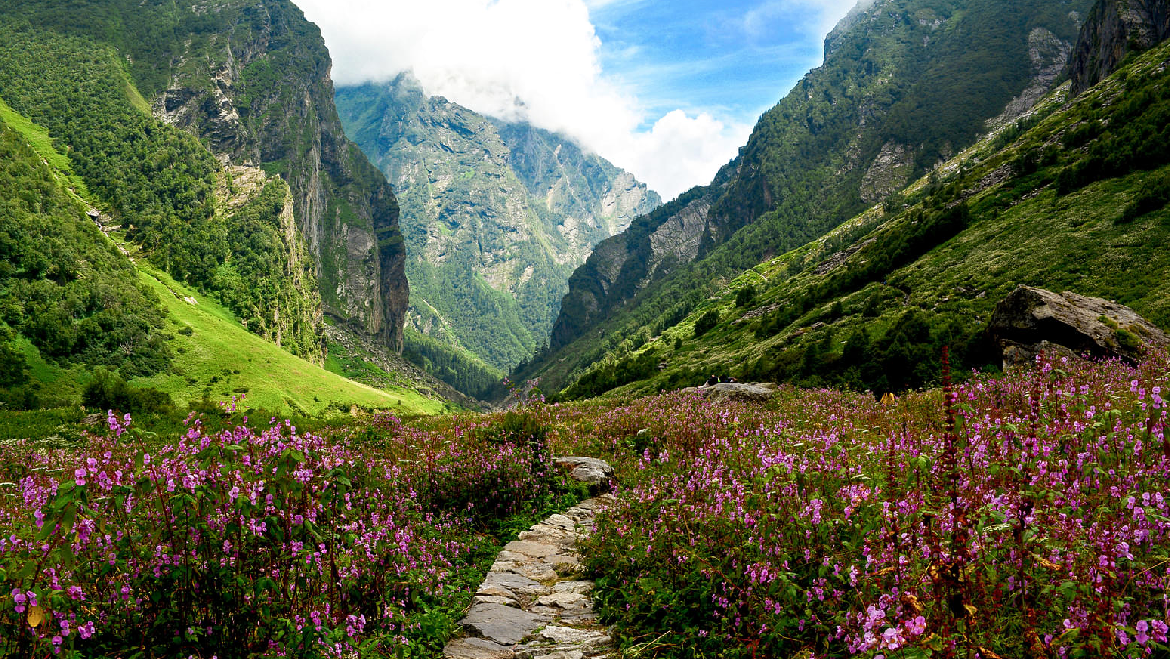 Valley of Flower Trek